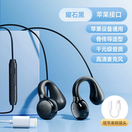 力族 有線(xiàn)耳機typec接口不入耳式高音質(zhì)圓孔優(yōu)質(zhì)耐用久戴不痛適用華為 頂配版【蘋(píng)果接口】黑色