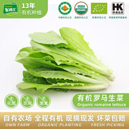 有機(jī)匯有機(jī)羅馬生菜 沙拉涼拌輕食西餐生菜 有機(jī)種植無農(nóng)殘 當(dāng)天采摘 250g