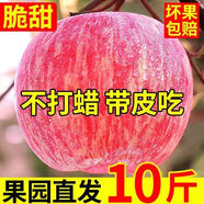 【特脆特甜】正宗紅富士蘋果新鮮當(dāng)季冰糖心蘋果一整箱包郵蔬菜 脆甜好吃-凈重8斤裝大果70-75mm