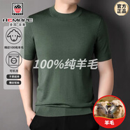 AEMAPE高端精紡100純羊毛打底衫男士半高領(lǐng)短袖t恤男春秋毛衣半袖針織 中綠 120/2XL