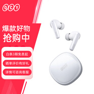 QCY T13 X 真無線藍(lán)牙耳機(jī) 運(yùn)動(dòng)耳麥抗風(fēng)噪四麥通話降噪耳機(jī)快充 全手機(jī)通用 白色