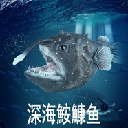 林暢模玩兒童海洋動(dòng)物玩具實(shí)心仿真深海魚模型鋸鰩刺魟蝠鲼箱鲀認(rèn)知生物 深海鮟鱇