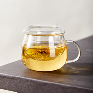 普瑞凱特耐高溫茶杯男女士茶水分離杯帶過濾水果茶壺辦公泡茶杯子 玻璃蓋矮款400ml1只