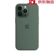 華為【品牌原裝】適用iPhone13ProMax原裝手機(jī)殼13Pro液態(tài)硅膠殼 【按葉綠色】全新丨磁吸動(dòng)畫 iPhone 13