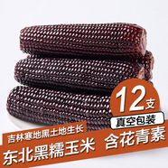 守望鄉(xiāng)村（KEEP W-VILLAGE GO）新鮮東北玉米 早餐粗糧苞米棒黏粘甜糯玉米棒真空包裝 黑色玉米12支 （單支200g以上）