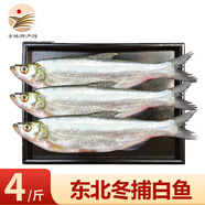 品吉味查干冬捕鯽魚 大鯉魚 白魚年貨送禮 冬捕新鮮活魚速凍 產(chǎn)地直發(fā) 大白魚4斤多條 家庭裝
