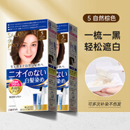 塔麗雅（Dariya）日本SALON de PRO染發(fā)劑膏黛莉亞Dariya男女士蓋白發(fā)染發(fā)膏遮白發(fā) 5號(hào)黑茶色*2