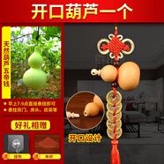 明恩天然葫蘆掛件鎮(zhèn)宅風(fēng)水?dāng)[件開(kāi)口帶龍頭真葫蘆手捻文玩小葫蘆家居 【五帝錢(qián)款】4-6cm開(kāi)口天然葫蘆