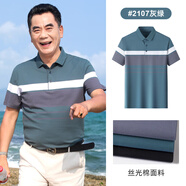 鹿竹新款爸爸夏裝短袖t恤絲光棉中老年男裝中年男士POLO衫夏季上衣服 2107-灰綠 S 【95斤-115斤】