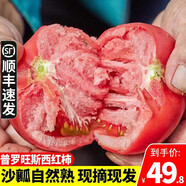 金百粟【順豐】陜西涇陽(yáng)普羅旺斯西紅柿生吃沙瓤西紅柿番茄蔬菜時(shí)令生鮮 普羅旺斯 4.5斤 大果順豐到家