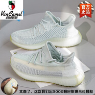 西域駱駝情侶皮面小白鞋運動(dòng)男鞋春秋學(xué)生男百搭小眾休閑板鞋男白色鞋子潮 350sgd冰藍滿(mǎn)天星-駱駝官方品牌 36