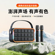 山水（SANSUI） 便攜式手提k歌音響移動(dòng)帶戶(hù)外大功率一體KTV廣場(chǎng)舞音響小型直播音箱卡拉OK雙無(wú)線(xiàn)話(huà)筒 Z9雙麥【立體音效果+聲卡音效】