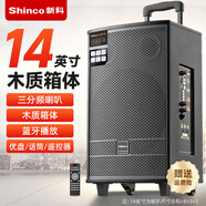 新科 廣場舞音響大功率重低音移動家用戶外K歌藍牙拉桿便攜式音箱擴音器帶無線話筒 14吋組合三分頻+木質(zhì)箱+8吋低音