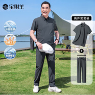 寶財(cái)羊爸爸套裝夏季短袖t恤男冰絲polo衫運(yùn)動(dòng)中老年人上衣服父親節(jié)禮物