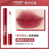 Color Key珂拉琪絲絨空氣啞光唇釉不易掉色卡皮巴拉唇彩唇蜜口紅女學(xué)生 R263貴氣西柚（蛇年版）