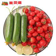 京地達栗貝諾圣女果小黃瓜組合4.5斤 小番茄小青瓜健康輕食 源頭直發(fā)