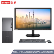 聯(lián)想14代酷睿臺式機ThinkCentre E900升級P900C 商用辦公財務(wù)學(xué)習(xí)電腦可做稅控主機 17L大機箱 主機+19.5英寸顯示器 定制i5 32G 512G+4T  W10PRO