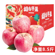 蔬農(nóng)聯(lián)水果 當(dāng)季時(shí)令蘋(píng)果禮盒 生鮮水果 山東煙臺(tái)棲霞紅富士蘋(píng)果 10斤一級(jí)大果80-85mm凈重8.5斤+