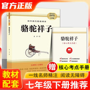 駱駝祥子 七年級下冊必讀名著(zhù) 適用初一七年級語(yǔ)文配套閱讀無(wú)刪減完整版初中語(yǔ)文教材配套閱讀書(shū)目名著(zhù)閱讀課程化叢書(shū)