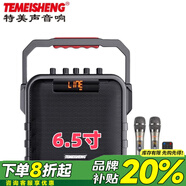 特美聲便攜式戶(hù)外手提廣場(chǎng)舞音箱大音量大功率小型K歌重低音炮家用藍牙音箱晨練二胡電吹管薩克斯樂(lè )器 特美聲SL06-26H雙話(huà)筒+遙控器