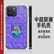 中超聯(lián)賽 上海 廣州 大連手機(jī)殼蘋果13/15華為安卓定制中國隊(duì)足球 天津 津門虎2【聯(lián)系客服備注機(jī)型 直邊硅膠磨砂軟殼 下單備注型號