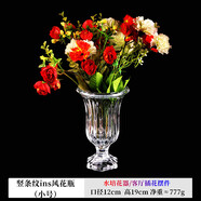 弗萊文茨北歐ins風(fēng)玻璃花瓶精致簡(jiǎn)約綠植鮮花插花擺件家用客廳透明小花瓶 豎紋矮腳花瓶（小號）