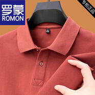 羅蒙（ROMON）男士短袖t恤2025新款夏季男裝薄款透氣寬松體恤衫高端商務(wù)半袖男 短袖2111鐵銹紅 XL 建議130-150斤