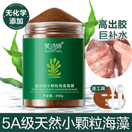 芙詩(shī)婷海藻面膜純小顆粒天然補(bǔ)水提亮膚色細(xì)毛孔美容院專(zhuān)用孕敏可用免洗 【共250g小顆粒海藻】送工具 250g/瓶
