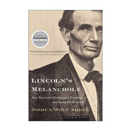 Lincoln's Melancholy 英文原版 林肯的憂郁 抑郁癥對總統(tǒng)的挑戰(zhàn)與激勵 英文版 進口英語原版書籍
