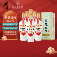 武陵酒飄香經(jīng)典版第三代優(yōu)雅醬香53度醬香型白酒500ML*6整箱禮盒 中秋節(jié)