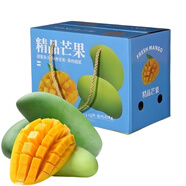 海南大青芒特大新鮮熱帶甜心芒果當季青芒果孕婦鮮果禮盒整箱 甄優(yōu)選-9斤（精選裝）