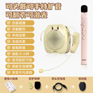 大行T11無線小蜜蜂教師專用PPT翻頁擴(kuò)音器手持麥克風(fēng)老師上課教師講課話筒 翻頁擴(kuò)音器（雙麥切換使用）