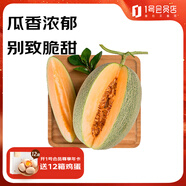 趣嘗鮮新疆西州蜜2粒5斤裝 生鮮水果 1號會員店 源頭直發(fā)