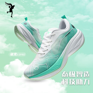 飛人態(tài)極FLYPP LX破競3.0Pro春夏跑步鞋碳板運動鞋網(wǎng)面透氣回彈競速體測鞋 白淡青 清風飛舞 41 (255mm)