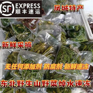 【順豐直達】東北全套食用野菜大全刺嫩芽山野菜新鮮大耳毛龍須菜 山野菜焯水六種野菜大禮盒(保溫