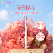 比卡利（BEECALI）牙醫(yī)推薦 掃刷一體智能電動(dòng)牙刷 深度清潔緩震刷頭保護(hù)牙齦 成人情侶送男友/女友生日禮物 520禮物 時(shí)代銀【原配2支杜邦刷頭】
