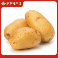 仙果春天土豆新鮮2025新土豆農(nóng)家馬鈴薯黃皮黃心包郵 黃皮黃心土豆10斤