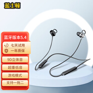 藍士頓藍牙耳機掛脖式運動(dòng)耳機頸掛式新款磁吸項鏈吊墜半入耳式適用于華為vivo蘋(píng)果oppo安卓 F-4黑色【】