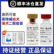 英特威【順豐+冰袋】寵必威狗二聯(lián)四聯(lián)疫苗狂犬成犬幼犬預(yù)防針細(xì)小犬瘟 英特威二聯(lián)