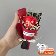 TMJD MISS迷你小花束玫瑰花干花口袋花束永生花手工玫瑰小手捧花束小束鮮花 紅玫瑰