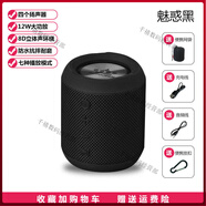 朗琴（ROYQUEEN）藍(lán)牙音箱超重低音炮大音量便攜式迷你小型高音質(zhì)戶外音響 魅惑黑 官方標(biāo)配 充電線+音頻線+掛扣+網(wǎng)