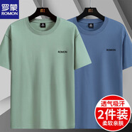 羅蒙新款純棉短袖T恤男款圓領(lǐng)寬松薄款夏季休閑百搭半袖體恤打底衫 DX豆綠+霧霾藍(lán) 2XL 【推薦135-150斤】