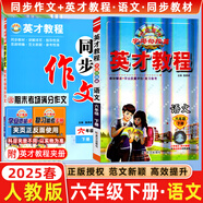 2025秋新版英才教程六年級上冊下冊語文數(shù)學(xué)英語統(tǒng)編人教版北師版 世紀英才小學(xué)6年級課本同步筆記教材解讀同步訓(xùn)練教材全解全練 6下【英才教程語文+英才同步作文】2本
