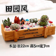 簡詩多肉植物帶盆綠植花卉盆栽組合套餐辦公室多肉diy創(chuàng)意微景觀盆景 田園風