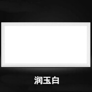 品格適用集成吊頂LED燈305x305x610鋁扣板嵌入式平板燈廚房衛(wèi)生間 305 28W 305*610白框