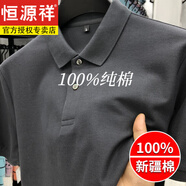 恒源祥2025新款重磅純棉polo衫男短袖t恤100%棉翻領(lǐng)商務(wù)休閑男裝高級(jí)感 82380深灰(短袖) XL 建議135-150斤