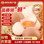 故鄉(xiāng)食召 雞蛋 散養(yǎng)谷物蛋 農(nóng)家喂養(yǎng) 初生鮮雞蛋 12枚 480g 生態(tài)農(nóng)家蛋