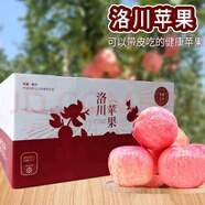 洛川蘋(píng)果【可手提的禮盒裝】陜西洛川蘋(píng)果紅富士脆甜多汁當季新鮮水果包郵 80mm中果純條紋24枚裝【可手提】
