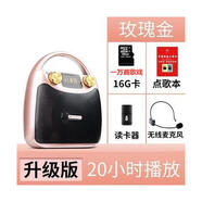 伊菲爾（Eifer）Eifer/伊菲爾B11新款便攜式藍牙音箱廣場舞音響大音量K歌手提戶外 升級版金+FM+16G萬首歌戲+目錄  官方標配