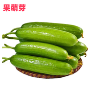 京地達山東水果黃瓜 凈重3斤  現(xiàn)摘小黃瓜蔬菜源頭直發(fā)包郵